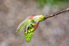 DSC_1316.jpg