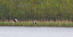DSC_0139.jpg