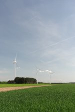 _DSC7617.jpg