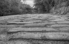 DSC_2443-Edit-2.jpg