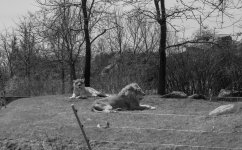 untitled shoot-0093.jpg