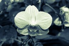 untitled shoot-0010-2.jpg