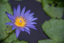 DSC_2892.jpg