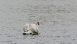 DSC_0105.jpg