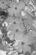 _AAA5014 - Version 2.jpg