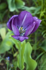 _AAA5019 - Version 3.jpg