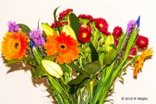D71_4271-Edit-2.jpg