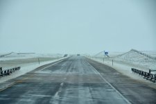 DSC_6447.jpg