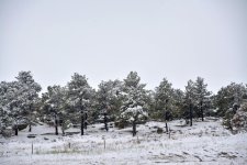 DSC_6483.jpg