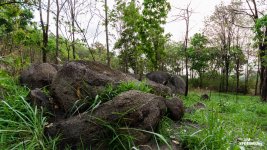 landscape-3.jpg