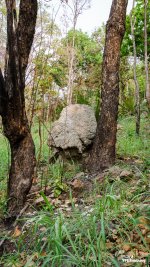 landscape-5.jpg