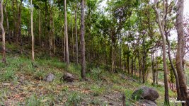 landscape-6.jpg