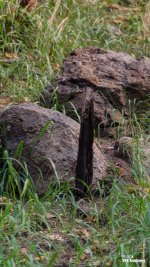 landscape-8.jpg