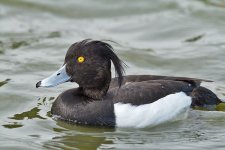 DSC_0219.jpg