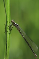 _DSC7704-1.jpg