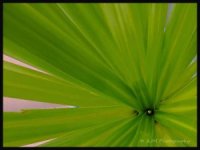 dscf5782.jpg