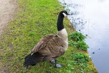 DSC_2440.jpg