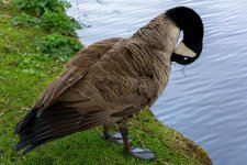 DSC_2430.jpg