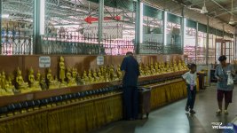 thaitredition-12.jpg