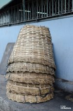 thaitredition-37.jpg
