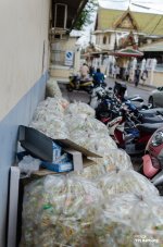 thaitredition-38.jpg