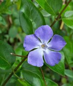 DSC_1439.jpg