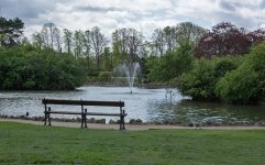 DSC_1444.jpg