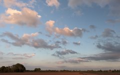 _DSC7927.jpg