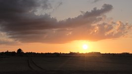 _DSC7931.jpg