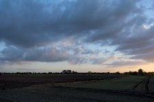 _DSC7939.jpg
