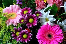 Flowers.jpg