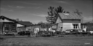 5-11-15 Kirtland   4BW.jpg