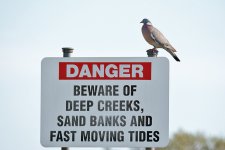 DSC_0388.jpg
