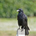 DSC_0430.jpg