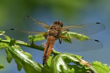 _DSC8078-1-1.jpg