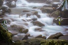 D71_4719.jpg