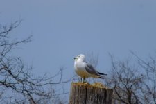untitled shoot-0822.jpg