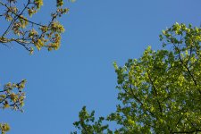 DSC_1493.jpg