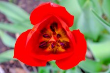 untitled shoot--50.jpg