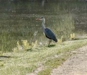 DSC_5411.jpg