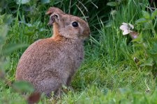DSC_1219.jpg