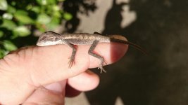 DSC_0233.jpg