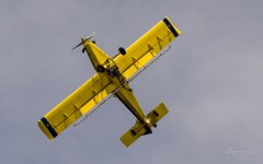 DAH_7376.jpg