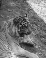 untitled shoot-0045-2.jpg