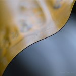MCC_6531.jpg