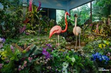 inside-bird1-1.jpg