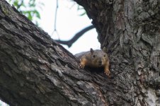 20150514-DSC_8299.jpg