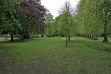DSC_1604.jpg