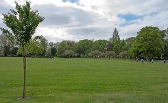 DSC_1627.jpg