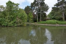 DSC_1640.jpg